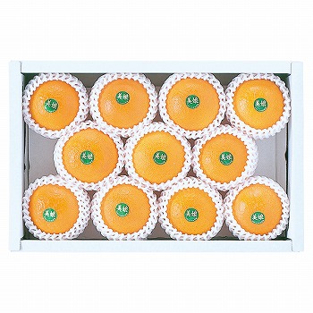 nzY (݂) (MK-50)y͂ԁF12{`z